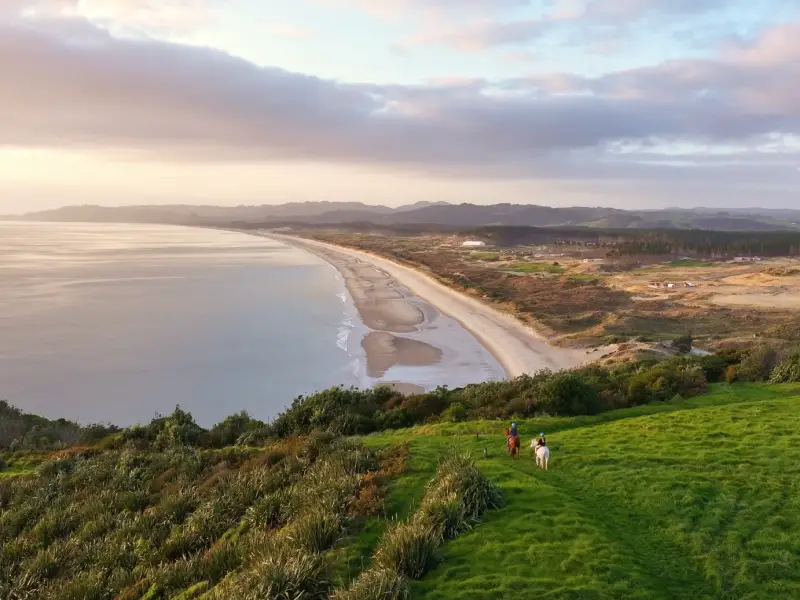 New Zealand Experience