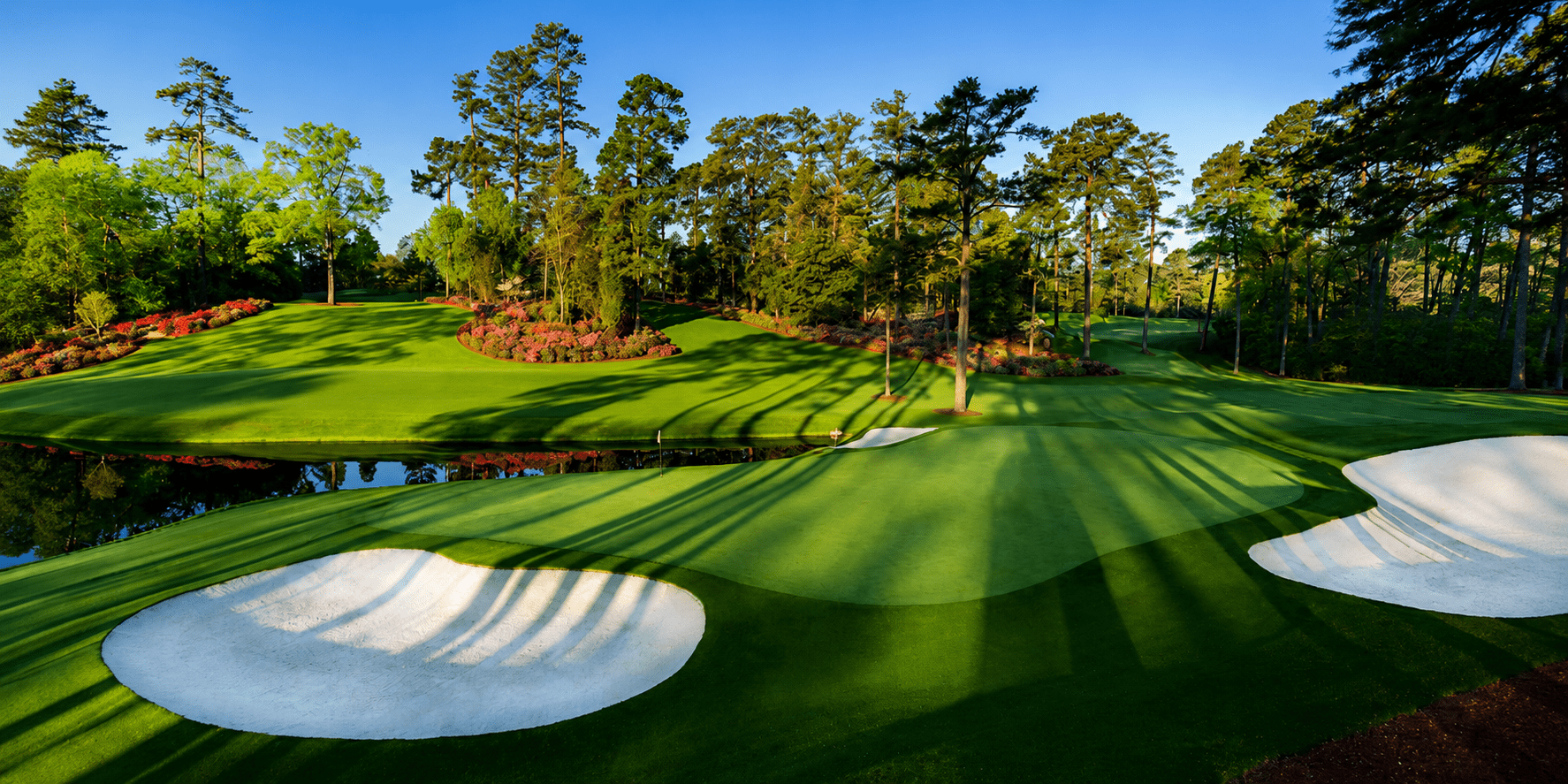 Masters Azaleas