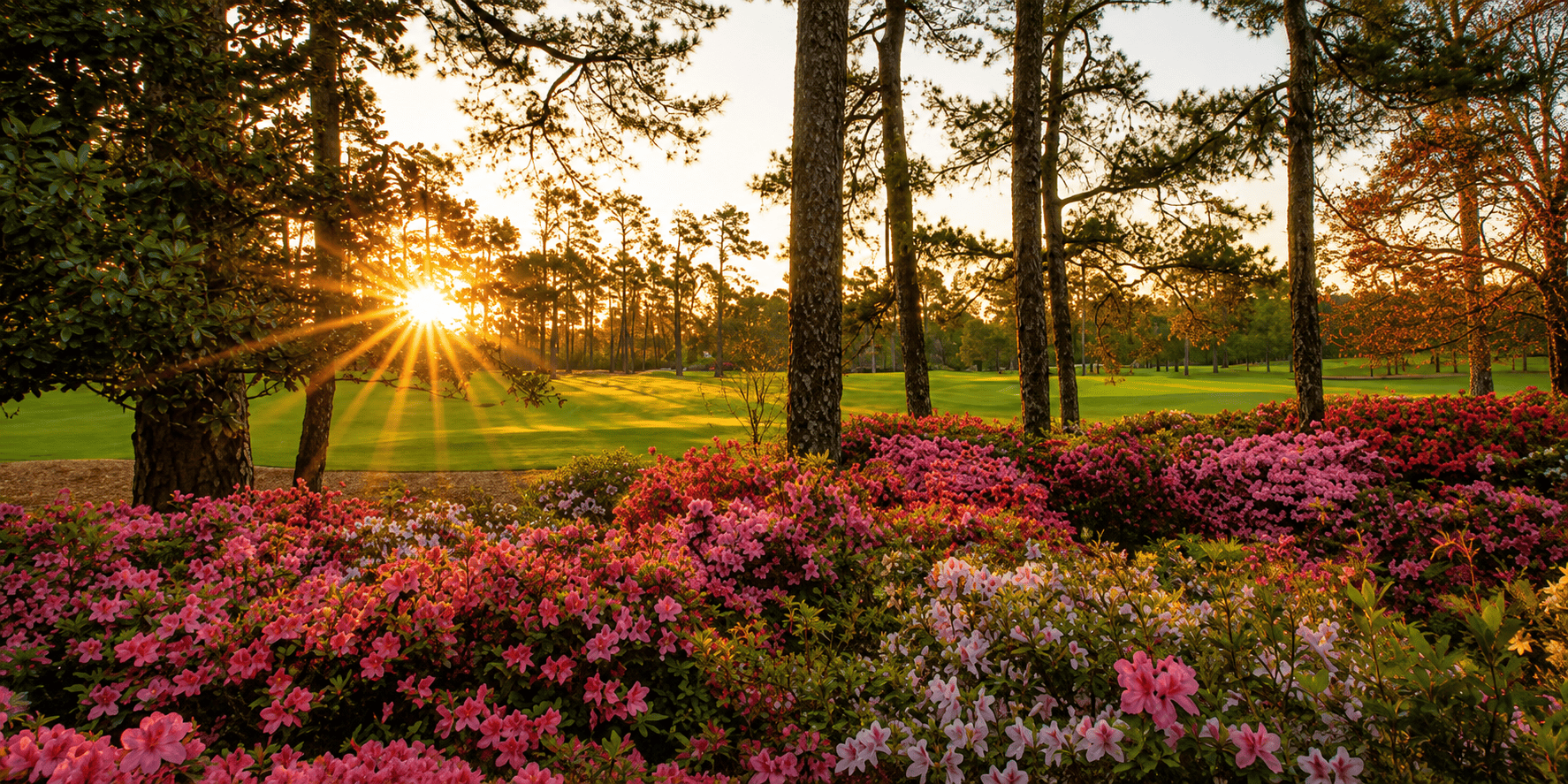Masters Travel Package