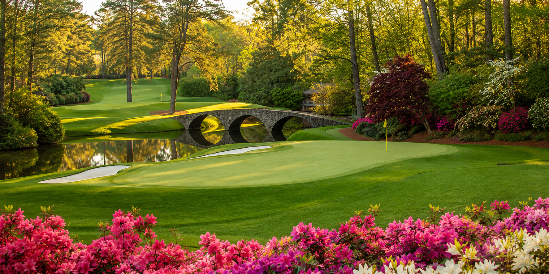 Championship Golf